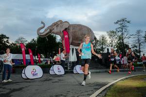 BIB: 
                            <button type="button" onclick="openModal(26529438)" class="btn btn-primary btn-sm float-right btn-popup" data-toggle="modal" data-target=".modal-high-quality">
                        <i class="fas fa-shopping-cart"></i> Add to Cart
                    </button>
                                            <button type="button" onclick="isThisMe(26529438, true)" class="btn btn-success btn-sm float-right btn-popup btn-isme hidden" data-toggle="tooltip" data-placement="bottom" title="นี่คือรูปของคุณใช่ไหม คลิกที่นี่เพื่อเอาเข้าอัลบั้ม">
                        <i class="fas fa-plus"></i> Add to album
                    </button>
                    <button type="button" onclick="isThisMe(26529438, false)" class="btn btn-warning btn-sm float-right btn-popup btn-isnotme hidden">
                        <i class="fas fa-ban"></i> Remove from album
                    </button>